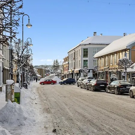4 Bedroom Penthouse Appartment, Right On The Mainstreet Kongsberg Exterior photo