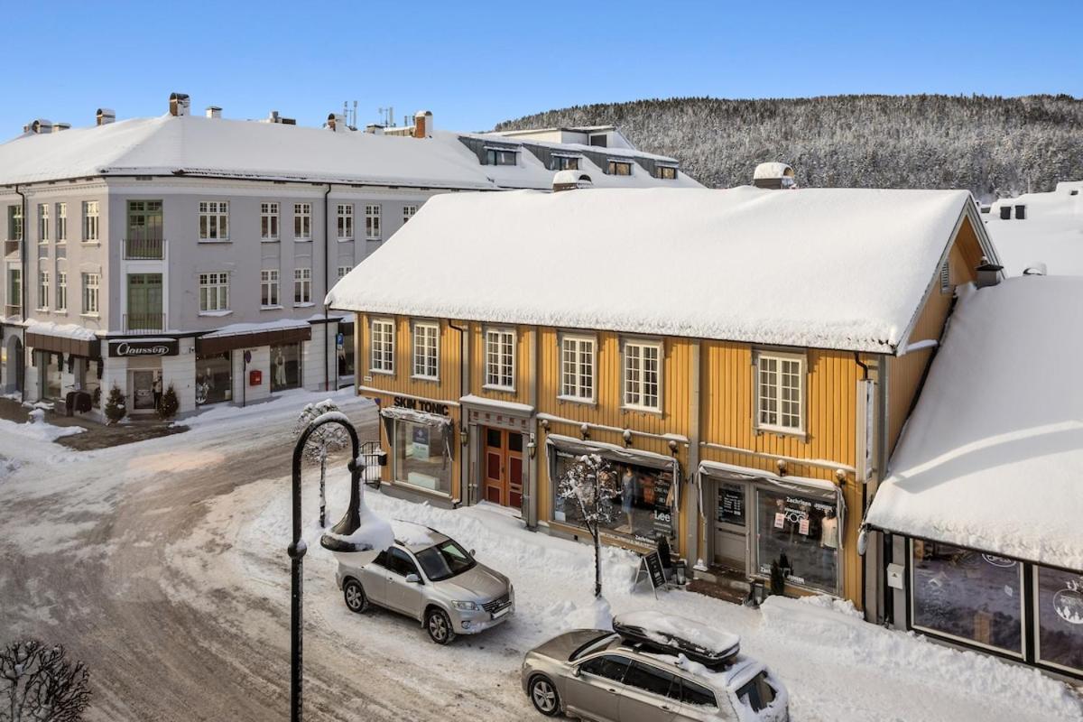 Appartement 4 Bedroom Penthouse Appartment, Right On The Mainstreet Kongsberg