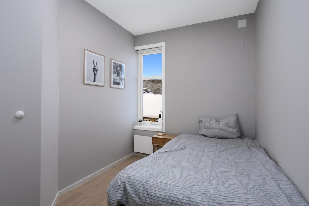 Appartement 4 Bedroom Penthouse Appartment, Right On The Mainstreet Kongsberg